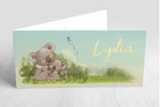 Koalabeertjes Koalabeertjes